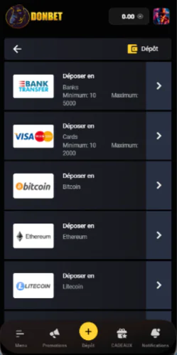 DonBet effectuez votre premier dépôt pour commencer à jouer - page de paiement